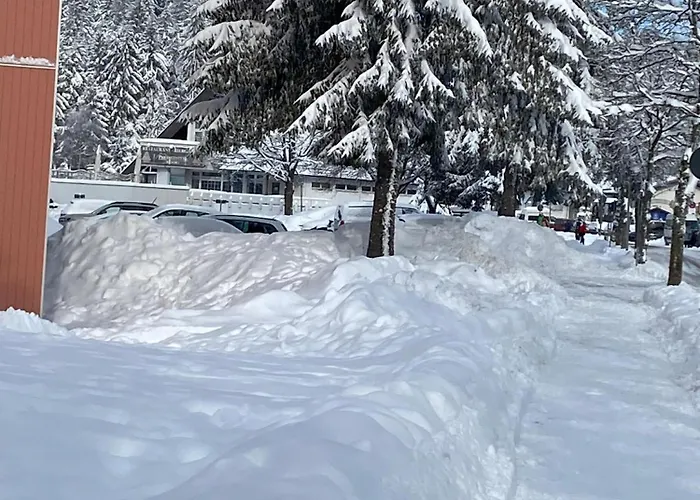 公寓 Edda Predigtstuhl