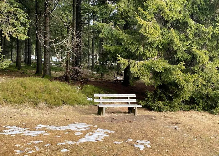 Edda Predigtstuhl 公寓 *